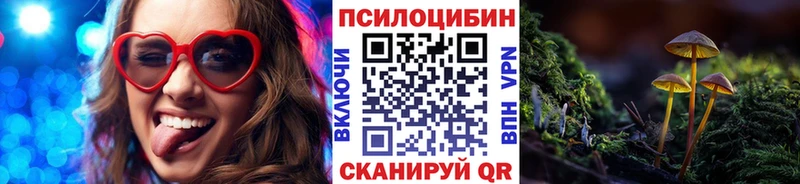 Купить закладки Бакал Галлюциногенные грибы прущие грибы