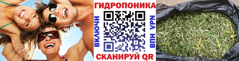 МАРИХУАНА гибрид  Купить где  Бакал 